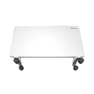 THERMEX Frame 1500M