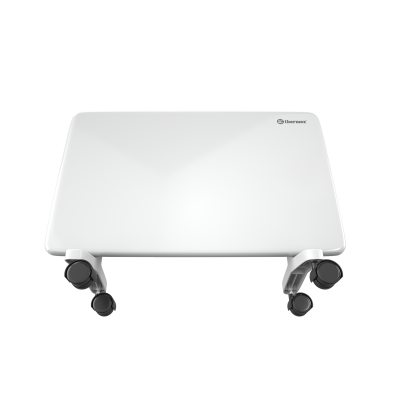 THERMEX Frame 1000M